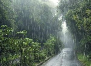 Jalan Raya Pemkot Tangerang, Banten lebat dan makan keluar area.