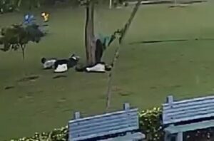 Hindarilah petir saat hujan lebat, akan mengakibatnya patal.