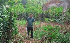 Wanita cantik di bogor, sempat tajong kejantanan pelaku hendak memperkosa.