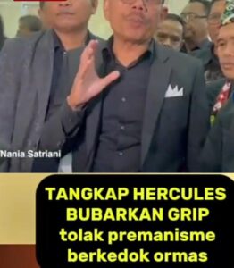 Sekitar sekelompok 100 advokat yang tergolong dan anak kolong, akan melaporkan Hercules ke Polisi.