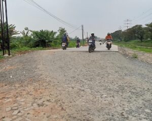 Diduga jalan Kp Bayur Kali Periuk, belum rapi bahu jalannya.