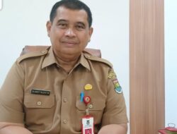 Sebagian besar sumber pendapatan daerah memiliki pola penerimaan yang meningkat pada pertengahan.
